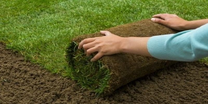 Tiết kiệm chi phí về lâu dài hơn so với sân cỏ tự nhiên