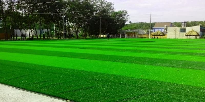 Tìm hiểu sân cỏ nhân tạo là gì